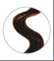 EXT.STEIN. WAVY (ONDULADO) FIBRA Nº133