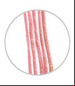 EXT.STEIN. DREAD LOCK (RASTA) FIBRA ROSA
